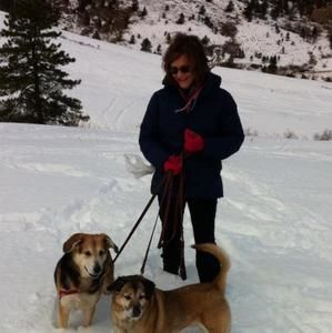 Meet your Posher, Sally